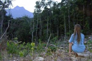 Expedition Auf Den Hochsten Berg Brasiliens Den Pico Da Neblina Amazonas Reisen Expeditionen Brasilien