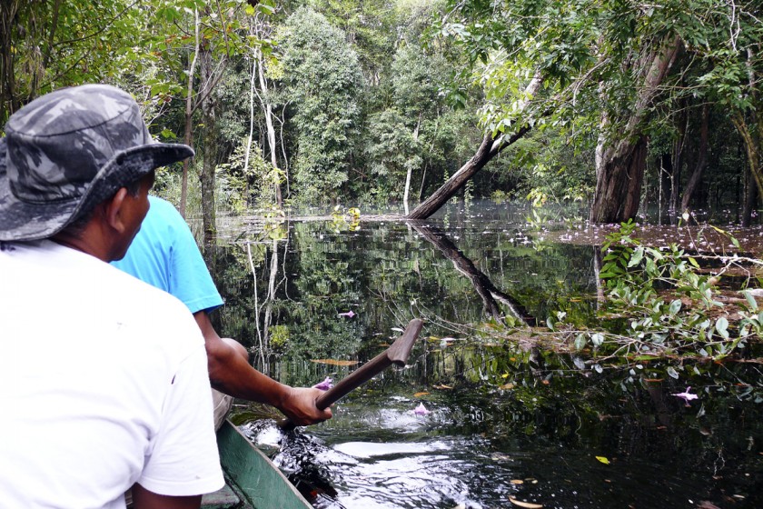 Brasilien Tour mit dem Kanu durch Igapó-Regenwald
