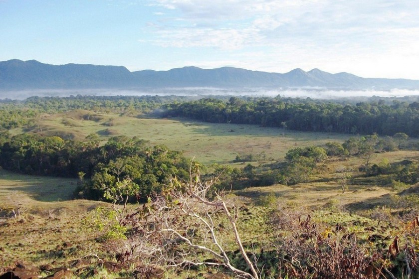 Brasilien Reise mit Aussicht auf das Bananal-Tal bei Aufstieg zum Monte Caburaí