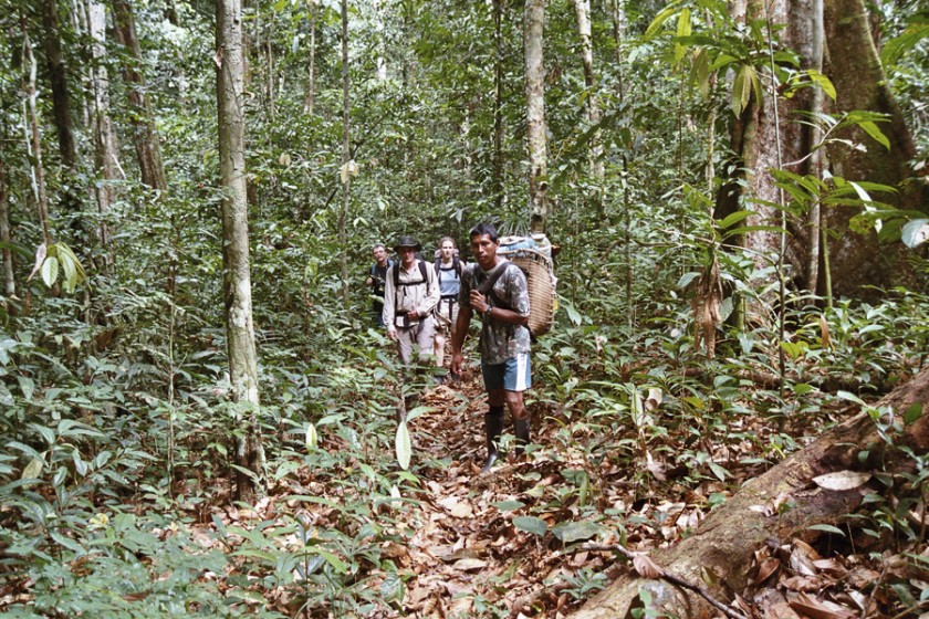 Eine Expedition in die Tiefen des Amazonas-Regenwaldes