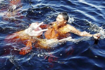 Schwimmen mit Rosa Flussdelfinen